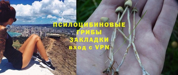 бошки Арсеньев